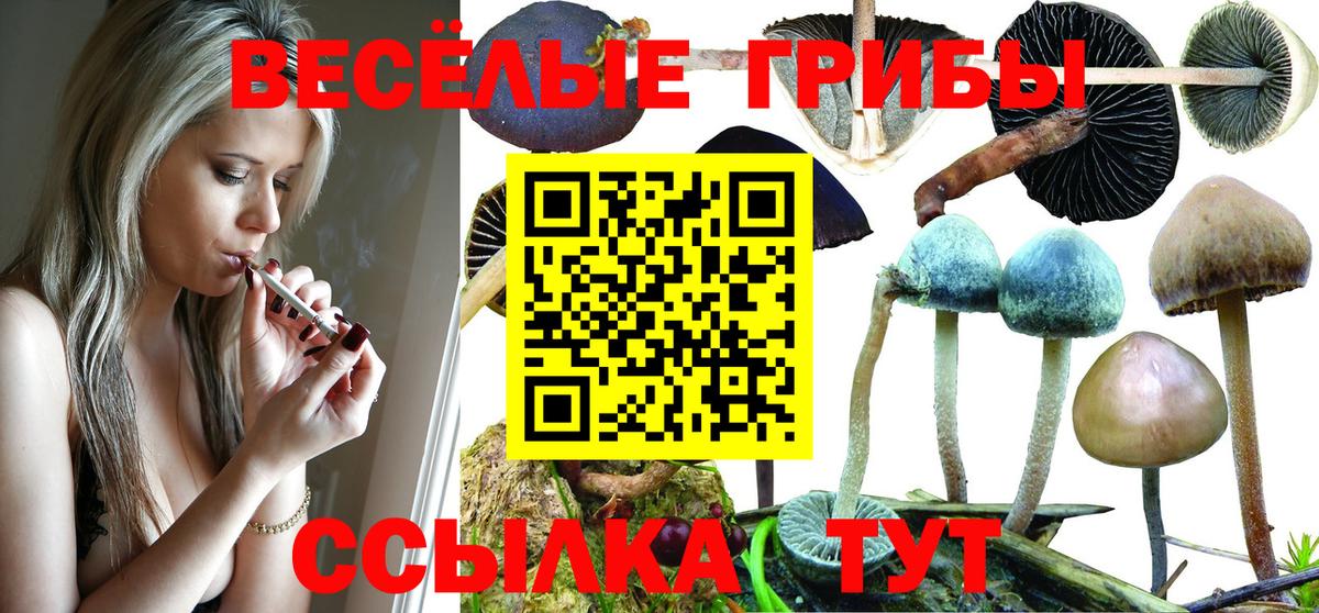 Нижний Тагил  Псилоцибиновые грибы GOLDEN TEACHER  Вход с VPN 