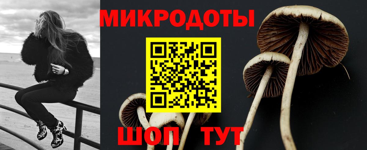 Псилоцибиновые грибы ЛСД Нижний Тагил
